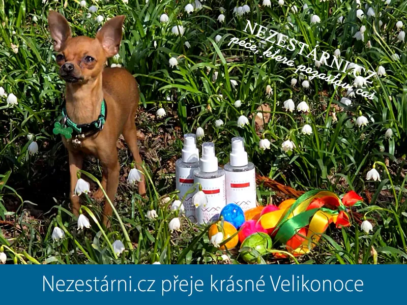 Aktuální akce wellness klubu NEZESTÁRNI.CZ